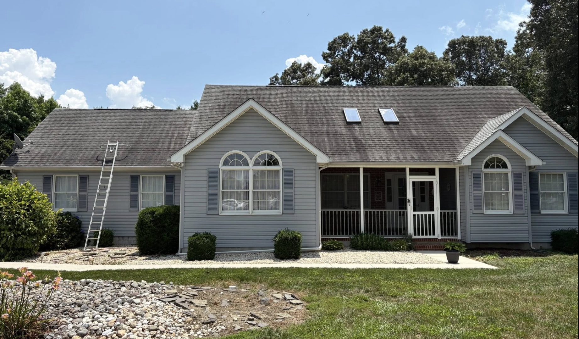 Before roof cleaning - dark streaks and staining visible on roof shingles